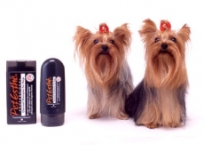 Professional Charcoal Shampoo 1 L abgefllt | exklusives Holzkohle Shampoo fr Hunde und Katzen