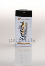 Color Restoration System Gold Shampoo | 400ml | exclusives Shampoo zur Farbwiederherstellung