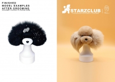 Starzclub Aprikot-farbenes Fell fr Hunde-Modellkopf